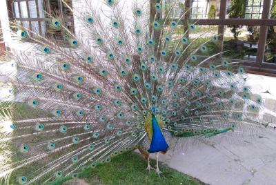 Private Day Trip to Hissarya & Starosel from Plovdiv Private Day Trip to Hissarya & Starosel from Plovdiv