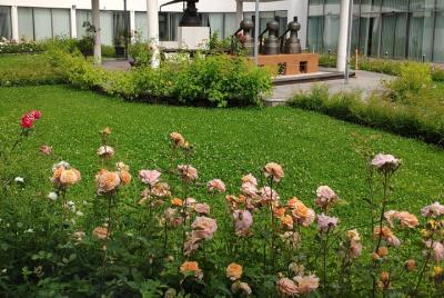 Private Virtual Tour of the Bulgarian Roses and Rose Oil Private Virtual Tour of the Bulgarian Roses and Rose Oil