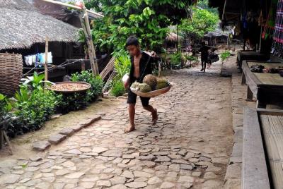 Baduy Durian Trip Baduy Durian Trip