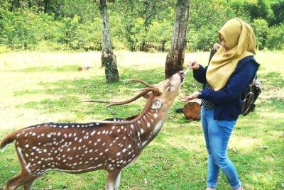 Private Bogor City Tour Private Bogor City Tour