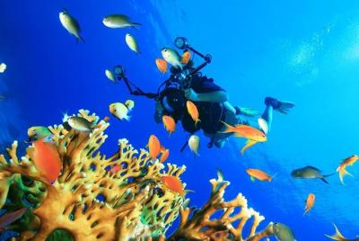 Diving Tour Diving Tour