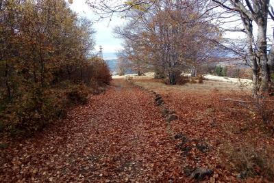 MTB ride around Sofia! MTB ride around Sofia!