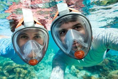 Snorkeling Experience in the Black Sea Secret Reef  Snorkeling Experience in the Black Sea Secret Reef