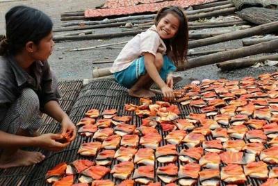 FullDay tuk tuk Tour:BambooTrain , bat cave,local lifestyle test  FullDay tuk tuk Tour:BambooTrain , bat cave,local lifestyle test