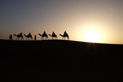 Private tour to Giza pyramids and Sphinx including sunrise camel 