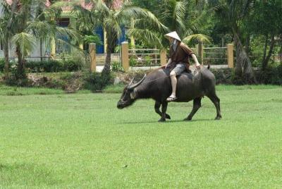 Farming with the Local Famers