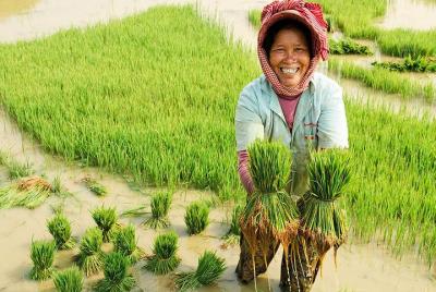 Off the Beaten Track