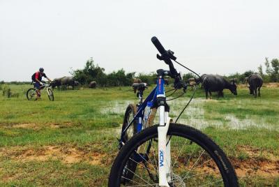 Half Day Countryside Cycling Tour, Siem Reap Private Tours Half Day Countryside Cycling Tour, Siem Reap Private Tours