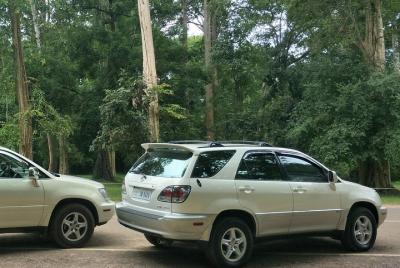 One Way Transfer From & To Siem Reap Airport By Suv Car (4 Seats)