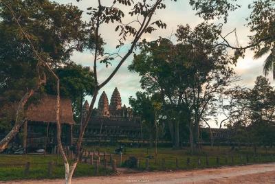 Tour, Tour guide and transportation 