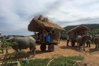 Full-Day Kampot & Kep with a local Tuk Tuk Tours  Full-Day Kampot & Kep with a local Tuk Tuk Tours
