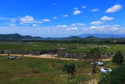 La Plantation Discovering Tour (7 hours) La Plantation Discovering Tour (7 hours)