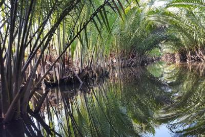 Kampot Kayaking Tour Kampot Kayaking Tour