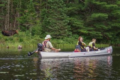 3 Hour VIP Electric Canoe Photography Tour (private, price is for 2 people) 3 Hour VIP Electric Canoe Photography Tour (private, price is for 2 people)