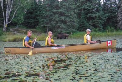 3 Day Algonquin Park Canoe Trip - Moose & Beaver Safari 3 Day Algonquin Park Canoe Trip - Moose & Beaver Safari