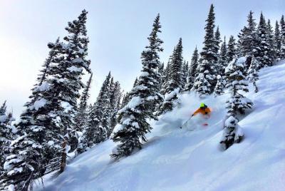 Full Day Ski Adventure to Kicking Horse Mountain Resort