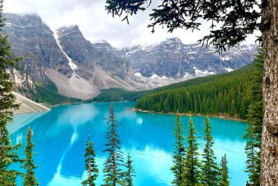 Lake Louise and the Icefield Parkway - Full-Day Tour
