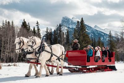 Horse-Drawn Sleigh Ride in Banff Horse-Drawn Sleigh Ride in Banff