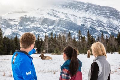 Winter Tour: Banff and Its Wildlife Winter Tour: Banff and Its Wildlife
