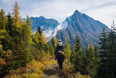 4-Day Erling Strom Trail Backcountry Lodge Trip by Horseback