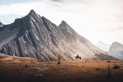 6-Day Halfway Lodge Backcountry Trip by Horseback