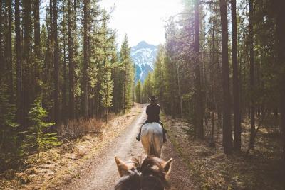 1-Hour Horseback Trail Ride in Kananaskis