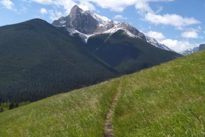 Coal Mine Hike and Beer Coal Mine Hike and Beer