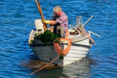 Scenic tours of Prince Edward Island