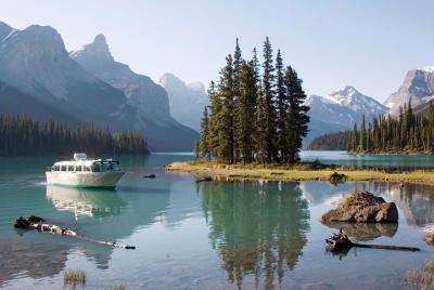 5.5-Hour Jasper Wildlife and Waterfalls Tour with Maligne Lake Cr 5.5-Hour Jasper Wildlife and Waterfalls Tour with Maligne Lake Cr