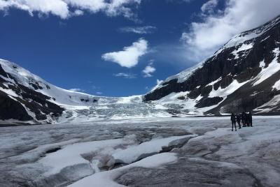 Athabasca Glacier Half-Day Tour