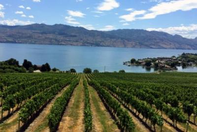 Kelowna Wine Tasting Experience with Picnic Lunch Kelowna Wine Tasting Experience with Picnic Lunch