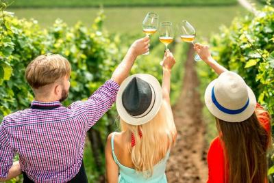 Full Day Wine Tour - Lake Country Scenic Wine Experience Full Day Wine Tour - Lake Country Scenic Wine Experience