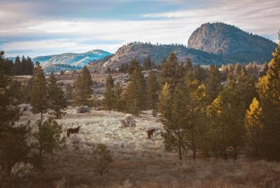 Private 4-hr photographic "Locals" experience in the Okanagan Private 4-hr photographic