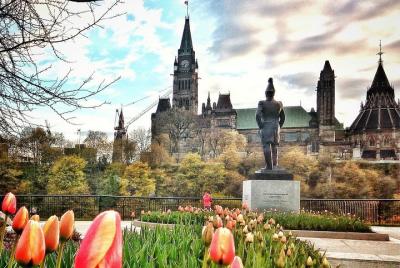 Canadian Tulip Festival-Ottawa May 13 -23rd '22 private day tour 