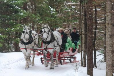 Small Private Sleighride Small Private Sleighride