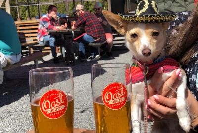 Niagara Craft Brewery Tour Niagara Craft Brewery Tour