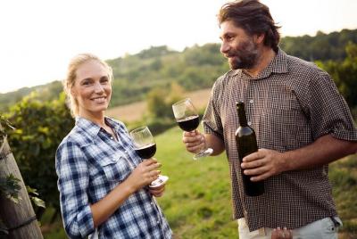 Full-Day Group Wine Tour (with cheese and charcuterie) in Niagara Full-Day Group Wine Tour (with cheese and charcuterie) in Niagara