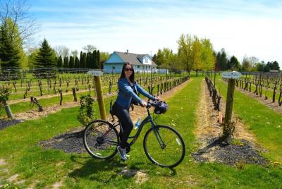 Niagara-on-the-Lake Cycle and Wine-Tasting Tour with Optional Lunch Niagara-on-the-Lake Cycle and Wine-Tasting Tour with Optional Lunch