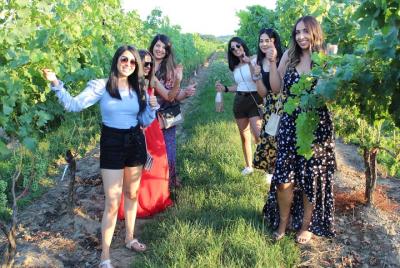 Get Away from the Crowds - Private-Safe Premium SUV, Wine Tour Niagara