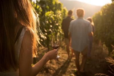 Private Wine Tour in Niagara-on-the-Lake with Tastings Private Wine Tour in Niagara-on-the-Lake with Tastings