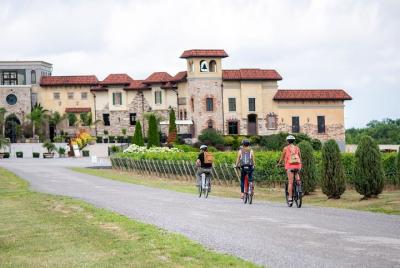 Guided Wine Tour on Electric Bike in Niagara-on-the-Lake, St David Guided Wine Tour on Electric Bike in Niagara-on-the-Lake, St David's Bench