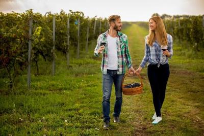 5 hour wine tour 5 hour wine tour