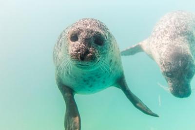Aquarium du Quebec: A Playground Overflowing with Life! Aquarium du Quebec: A Playground Overflowing with Life!