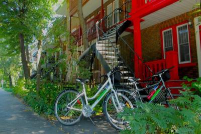 Quebec City Bike Rentals Quebec City Bike Rentals