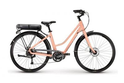 Full-Day Electric Bike Rental in Québec City Full-Day Electric Bike Rental in Québec City