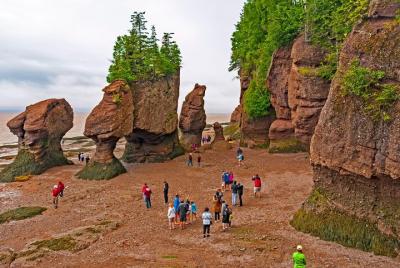 Best of Fundy with Hopewell Rocks Best of Fundy with Hopewell Rocks