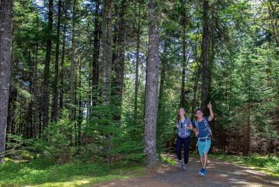 St Martins Fundy Trail St Martins Fundy Trail