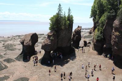 Private Full-Day Tour to Hopewell Rocks from Saint John Private Full-Day Tour to Hopewell Rocks from Saint John