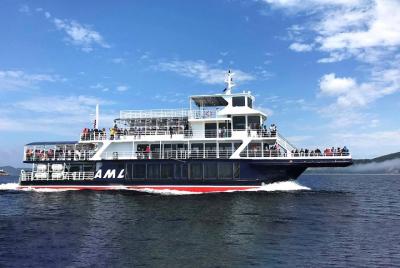 VIP Lounge Whale Watching Cruise from Tadoussac or Charlevoix