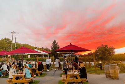 Niagara Wine Region Tour (from Toronto), plus Toronto Walking Tou Niagara Wine Region Tour (from Toronto), plus Toronto Walking Tou